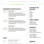 Formular de CV de completat ️ DESCARCA!